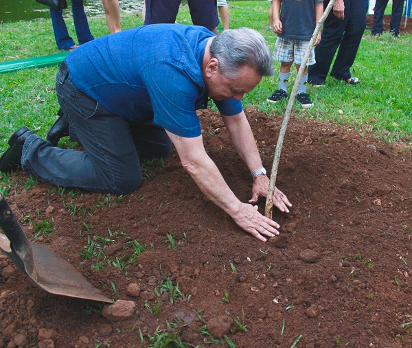 Roberto Rodrigues planta uma árvore, símbolo de seu ofício e paixão de toda a sua vida. Foto: Acervo pessoal