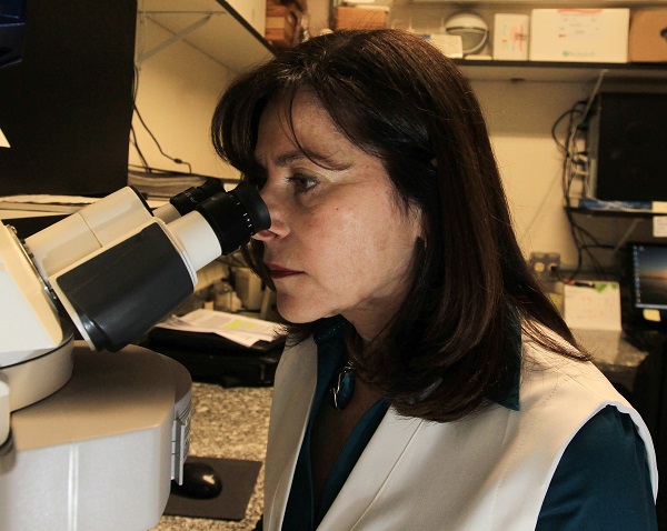 Mayana pesquisa genoma e células-tronco no Departamento de Genética da USP em busca de avanços científicos para curar doenças ou deficiências. Foto: Paulo Liebert/AE