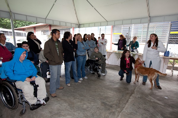 Mayana coordena o projeto Genocão, da AACD, cujo objetivo é treinar cães para ajudarem a pessoas com dificuldades de locomoção. Foto: João Brito/AE